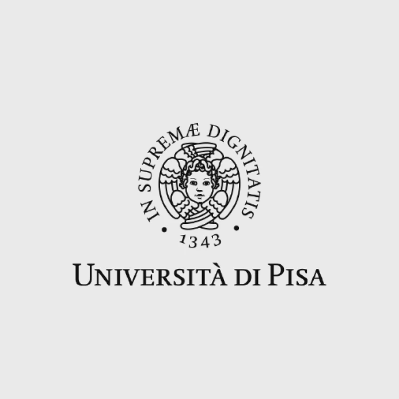 Università di Pisa