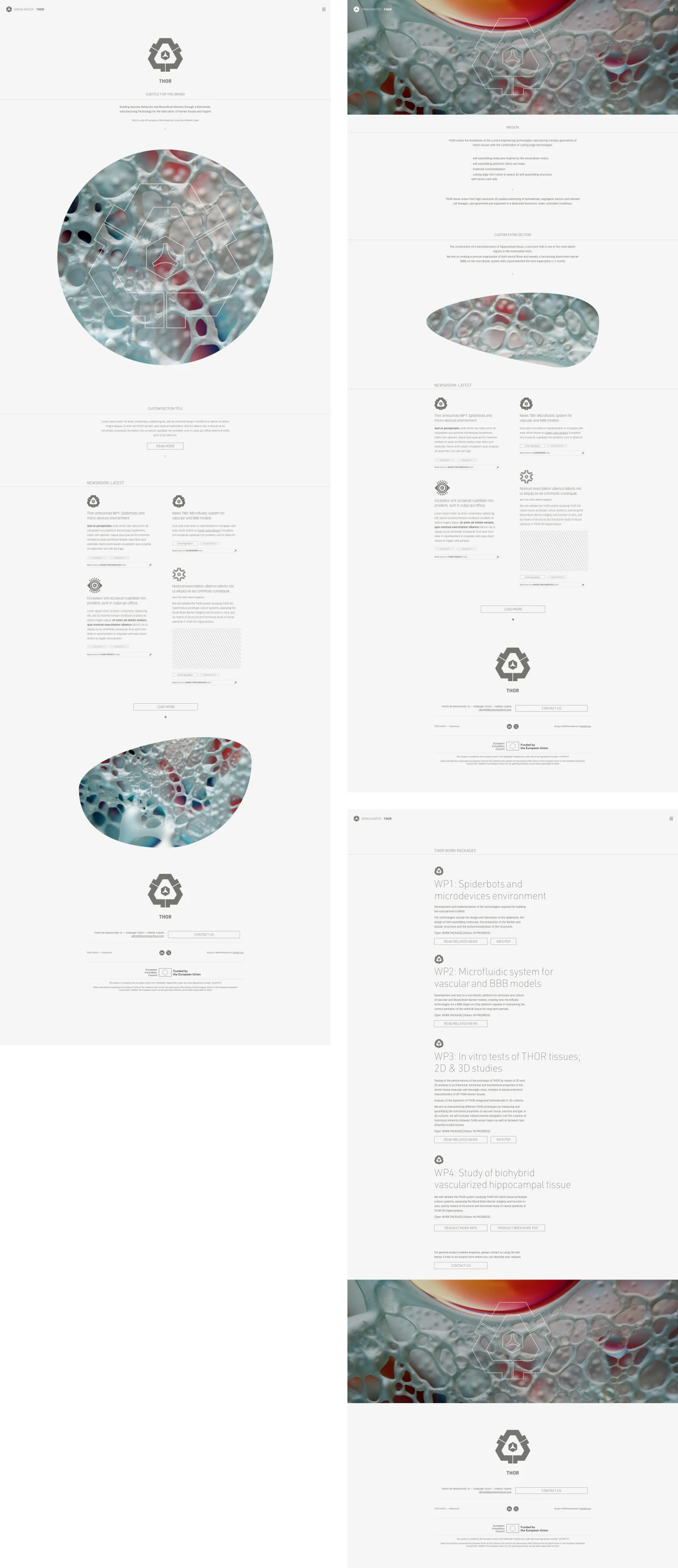 OM_website_8762343453_345.png