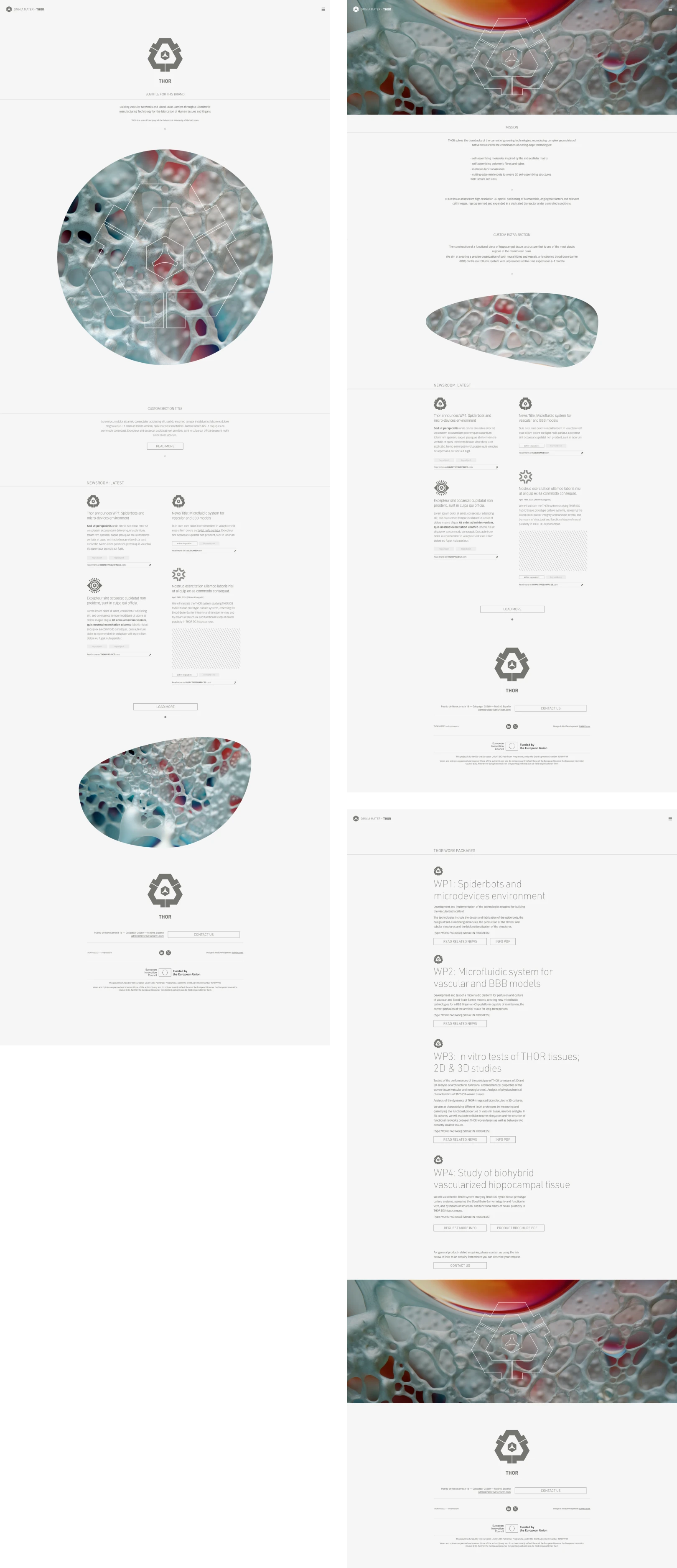 OM_website_8762343453_345.png